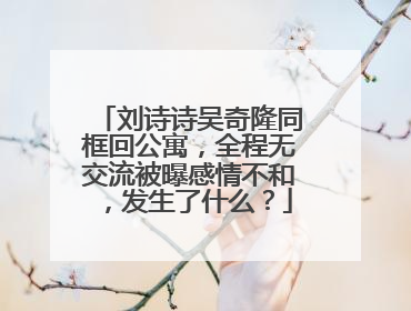 刘诗诗吴奇隆同框回公寓，全程无交流被曝感情不和，发生了什么？