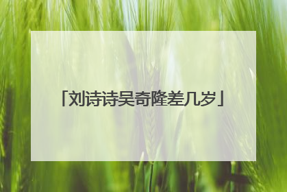 刘诗诗吴奇隆差几岁