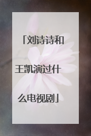 刘诗诗和王凯演过什么电视剧