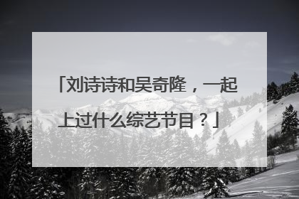 刘诗诗和吴奇隆，一起上过什么综艺节目？