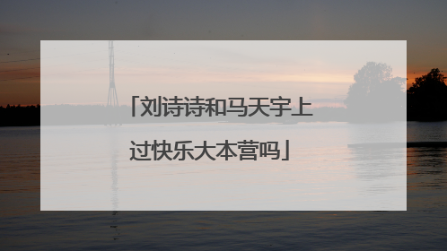 刘诗诗和马天宇上过快乐大本营吗