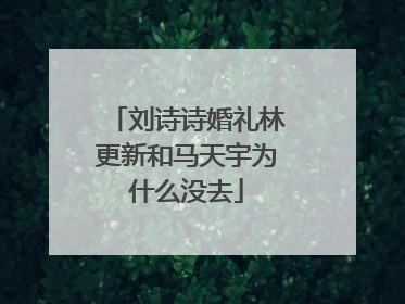 刘诗诗婚礼林更新和马天宇为什么没去