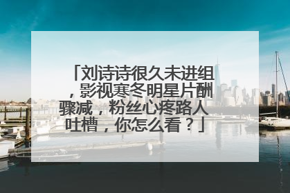 刘诗诗很久未进组，影视寒冬明星片酬骤减，粉丝心疼路人吐槽，你怎么看？
