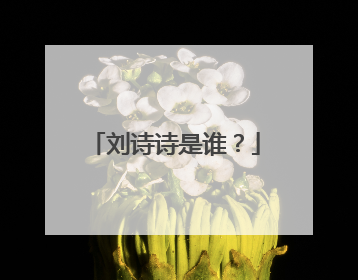 刘诗诗是谁？