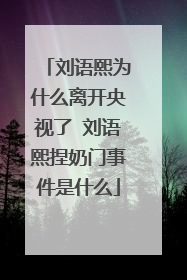 刘语熙为什么离开央视了 刘语熙捏奶门事件是什么