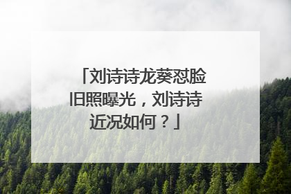 刘诗诗龙葵怼脸旧照曝光，刘诗诗近况如何？