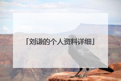 刘谦的个人资料详细
