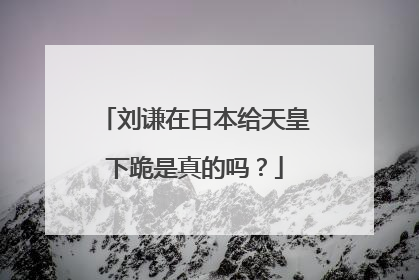 刘谦在日本给天皇下跪是真的吗?