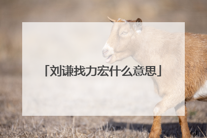 刘谦找力宏什么意思