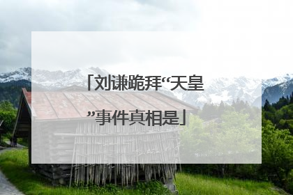 刘谦跪拜“天皇”事件真相是