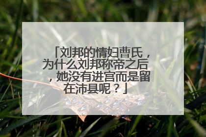 刘邦的情妇曹氏,为什么刘邦称帝之后,她没有进宫而是留在沛县呢?
