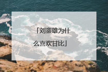 刘銮雄为什么喜欢甘比