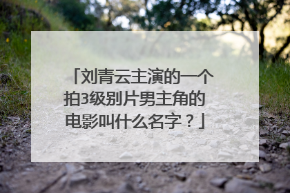 刘青云主演的一个拍3级别片男主角的电影叫什么名字?