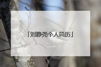 刘静尧个人简历