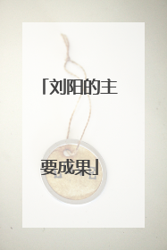 刘阳的主要成果