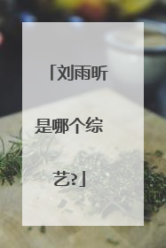 刘雨昕是哪个综艺?