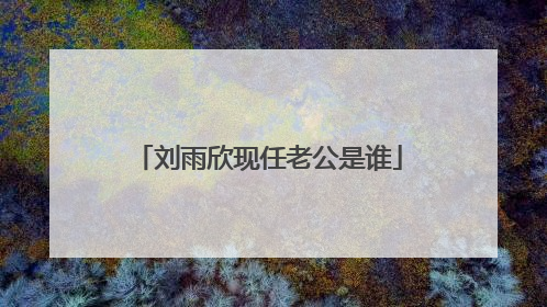 刘雨欣现任老公是谁