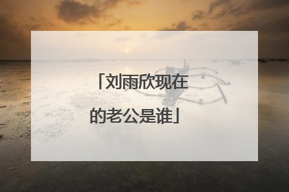 刘雨欣现在的老公是谁