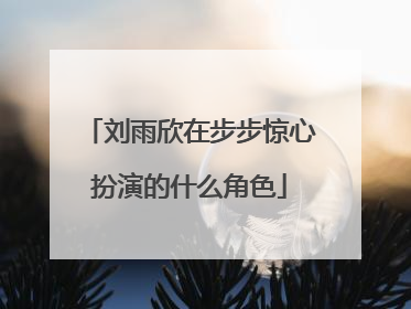 刘雨欣在步步惊心扮演的什么角色