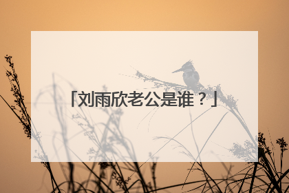 刘雨欣老公是谁？