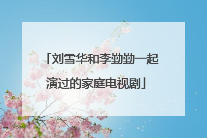 刘雪华和李勤勤一起演过的家庭电视剧