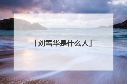 刘雪华是什么人