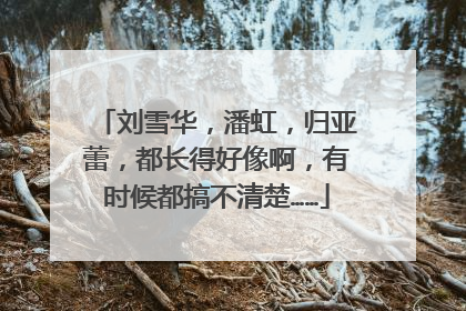 刘雪华，潘虹，归亚蕾，都长得好像啊，有时候都搞不清楚……