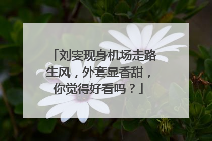 刘雯现身机场走路生风,外套显香甜,你觉得好看吗?