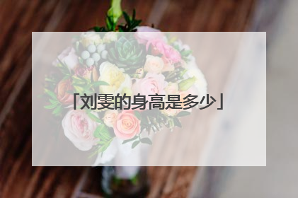 刘雯的身高是多少