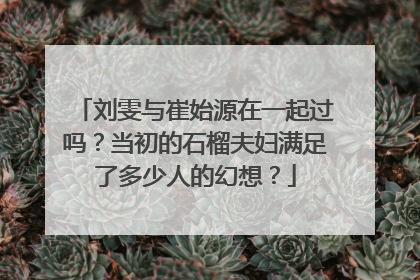 刘雯与崔始源在一起过吗？当初的石榴夫妇满足了多少人的幻想？