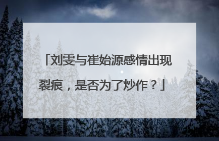 刘雯与崔始源感情出现裂痕,是否为了炒作?