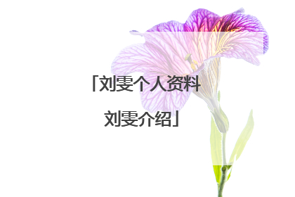 刘雯个人资料 刘雯介绍