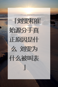 刘雯和崔始源分手真正原因是什么 刘雯为什么被叫表