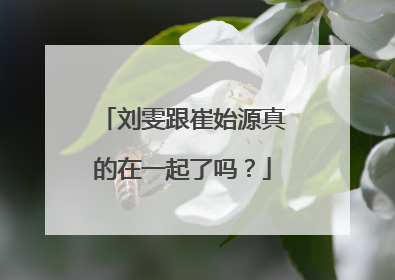 刘雯跟崔始源真的在一起了吗?