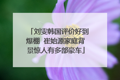 刘雯韩国评价好到爆棚 崔始源家庭背景惊人有多部豪车