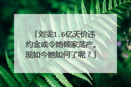 刘雯1.6亿天价违约金或令她倾家荡产。现如今她如何了呢?