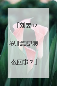 刘雯17岁北漂是怎么回事?