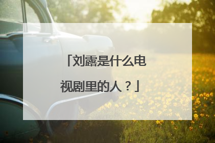 刘露是什么电视剧里的人？