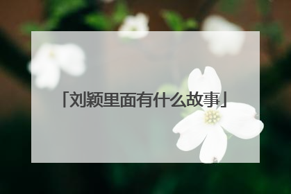 刘颖里面有什么故事