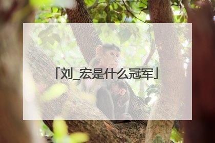 刘_宏是什么冠军