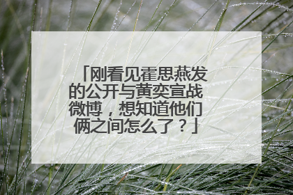 刚看见霍思燕发的公开与黄奕宣战微博，想知道他们俩之间怎么了？