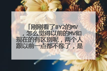 刚刚看了BY2的MV，怎么觉得以前的MV和现在的有区别呢，两个人跟以前一点都不像了，是不是整容了？