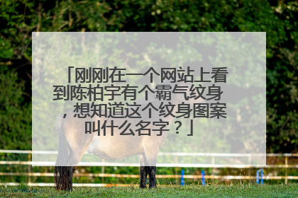 刚刚在一个网站上看到陈柏宇有个霸气纹身，想知道这个纹身图案叫什么名字？