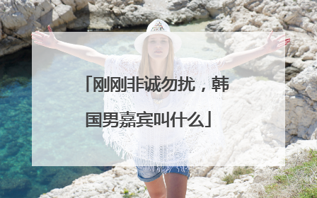 刚刚非诚勿扰,韩国男嘉宾叫什么