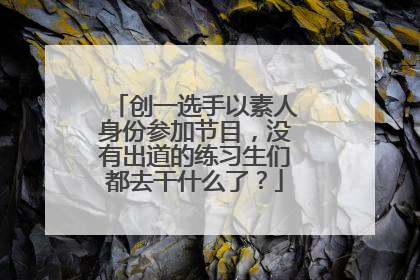 创一选手以素人身份参加节目,没有出道的练习生们都去干什么了?