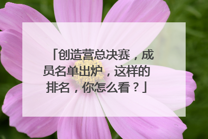 创造营总决赛，成员名单出炉，这样的排名，你怎么看？