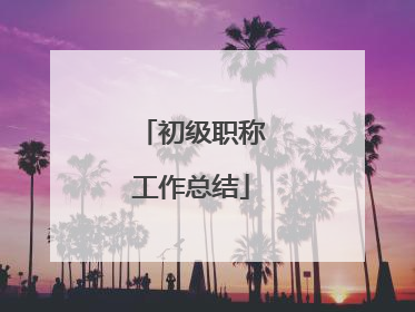 初级职称工作总结