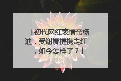 初代网红表情帝杨迪,受谢娜提携走红,如今怎样了?