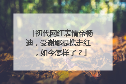 初代网红表情帝杨迪,受谢娜提携走红,如今怎样了?