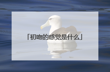初吻的感觉是什么